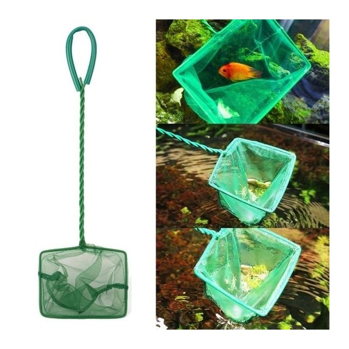 Grüner, tragbarer Kescher mit langem Griff, quadratisch, für Aquarium, Fischtank, Kescher für schwimmende Fische 3 inch