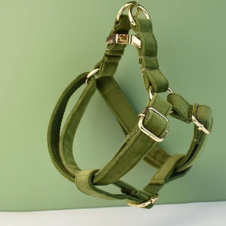 Army Velvet Harnes Personalisierte Welpen-Hunde-ID-Halsbänder Kostenloses graviertes Logo für Hunde-Haustier-Hochzeitsbedarf