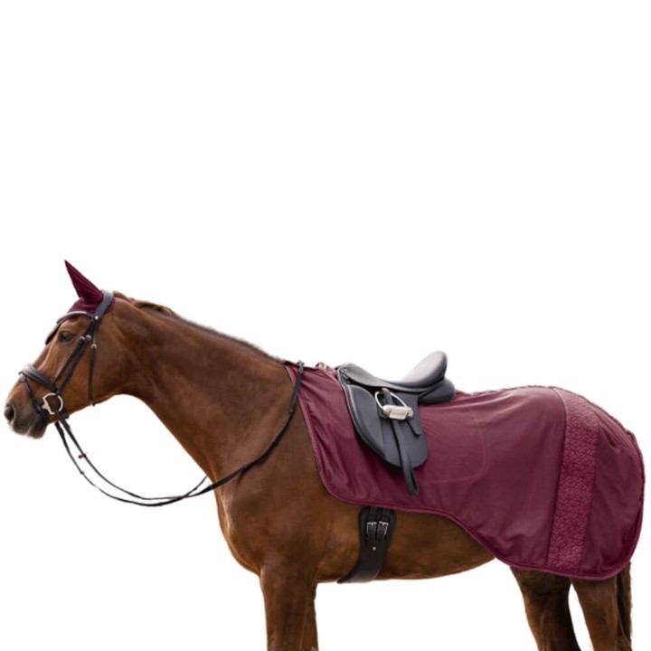 Waldhausen Ausreitdecke Rom