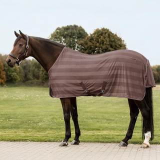 Waldhausen Fliegendecke Economic Kreuzbegurtung