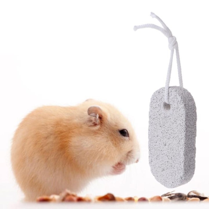 Haustier-Zähneschleifstein, Mineralien, Hamster, Kaninchen, Ratte, Eichhörnchen, vulkanisches Kauspielzeug 1