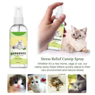 60 ml Katzenminzenspray, natürlicher Katzenminzennebelspray zur Stresslinderung für Kätzchen, attraktive Katzenminzen-Sprühfl