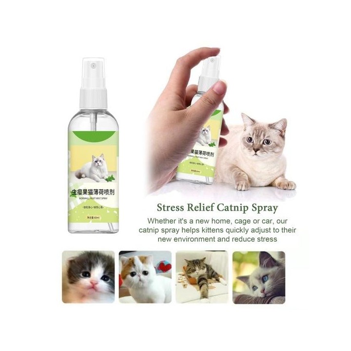 60 ml Katzenminzenspray, natürlicher Katzenminzennebelspray zur Stresslinderung für Kätzchen, attraktive Katzenminzen-Sprühfl
