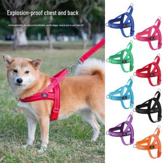 Easywalk Atmungsaktives Hundegeschirr aus Netzgewebe und explosionsgeschützte Leine für kleine/mittelgroße Rassen XXS