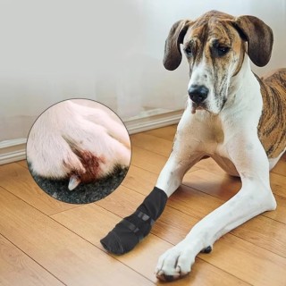 Postoperativer Hundepfotenschutzstiefel, wasserdichter Hundeschuh, langlebiges Heimtierzubehör S