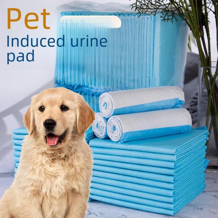 Urinpads für Haustiere, 100er-Packung – Deodorant mit Bambuskohle, saugfähige Windeln für Hunde, Katzen, Kaninchen Trial Pack