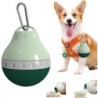 Reise-Wasserflasche für Hunde, 200 ml, abnehmbare Schüssel, auslaufsicher, tragbarer Futterspender, Zubehör für kleine Hunde