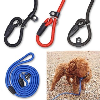 Haustier Hund verstellbare Nylon Trainingsleine Blei Gurt Seil Outdoor Traktion Kragen S rot