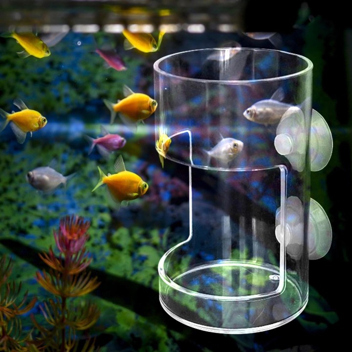 Acryl-Fischfutterröhrchen für Aquarium, klare Salzgarnelen-Larve, Wurm Cylinder