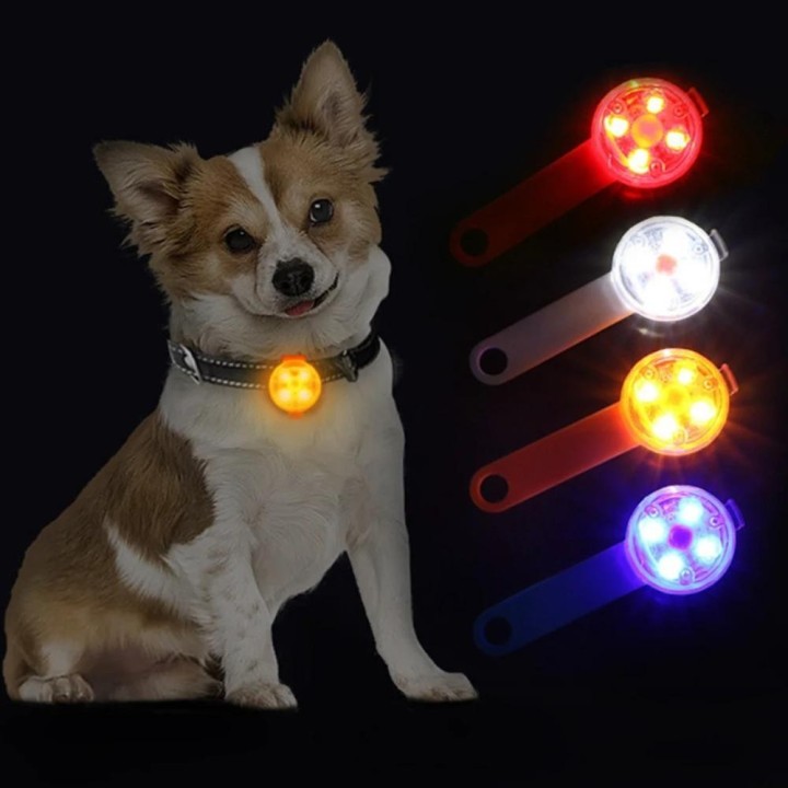 LED Hunde- und Katzenhalsband, leuchtender Anhänger, Katze, leuchtendes Licht, blinkender Anhänger, Hunde- und Katzenzubehör