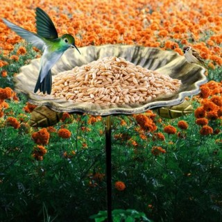 Vogelbad aus Metall, Vogelfutterstation für den Garten, mit Metallpfahl, Blumenform, Bienenbecher, Kolibri-Futterstation für