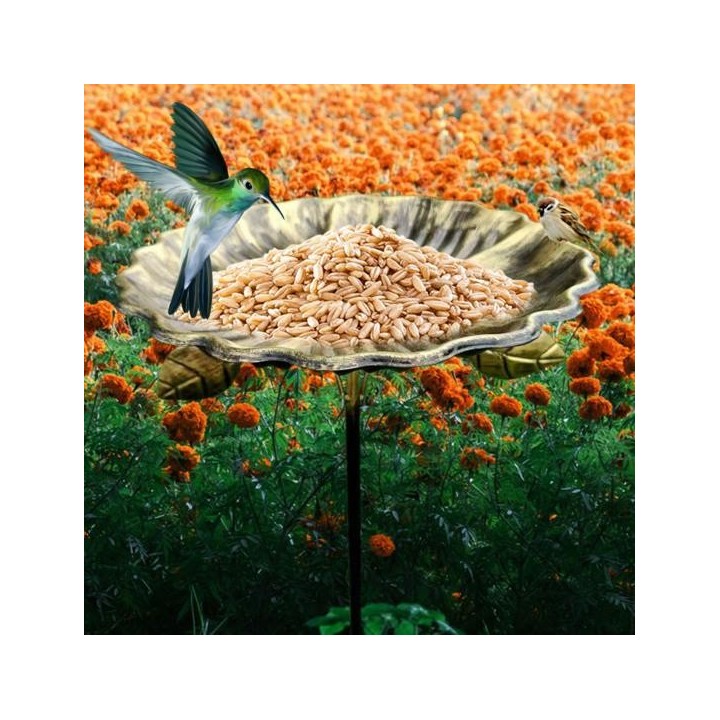 Vogelbad aus Metall, Vogelfutterstation für den Garten, mit Metallpfahl, Blumenform, Bienenbecher, Kolibri-Futterstation für