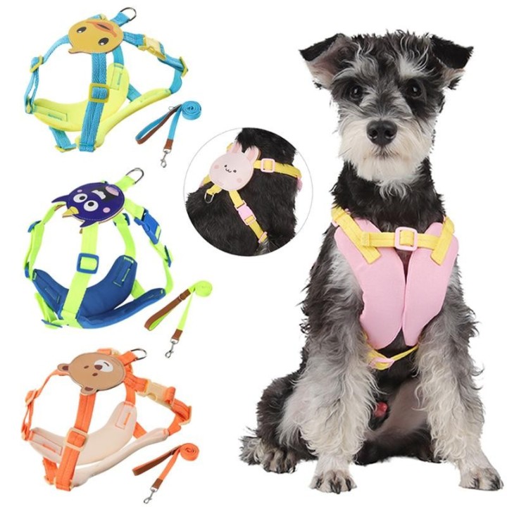 Süßes Hundegeschirr mit Leine-Set für kleine mittelgroße Hunde, Katzen, Geschirr, Weste, Gurt, Sicherheit, Haustierleine, Chi