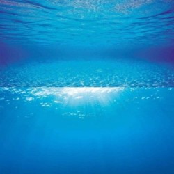 JUWEL® Poster 2, S - 60x30 cm