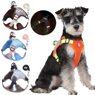 Neues Hundegeschirr-Leine-Set für kleine Hunde, Katzen, Brustgurt, reflektierendes Haustiergeschirr, Welpen, Walking, Trainin