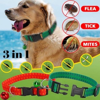 Sicherheit Mücken Insektizide Outdoor Anti Floh Milbe Tick Hund Kragen Neck Strap Pet Suppies M rot