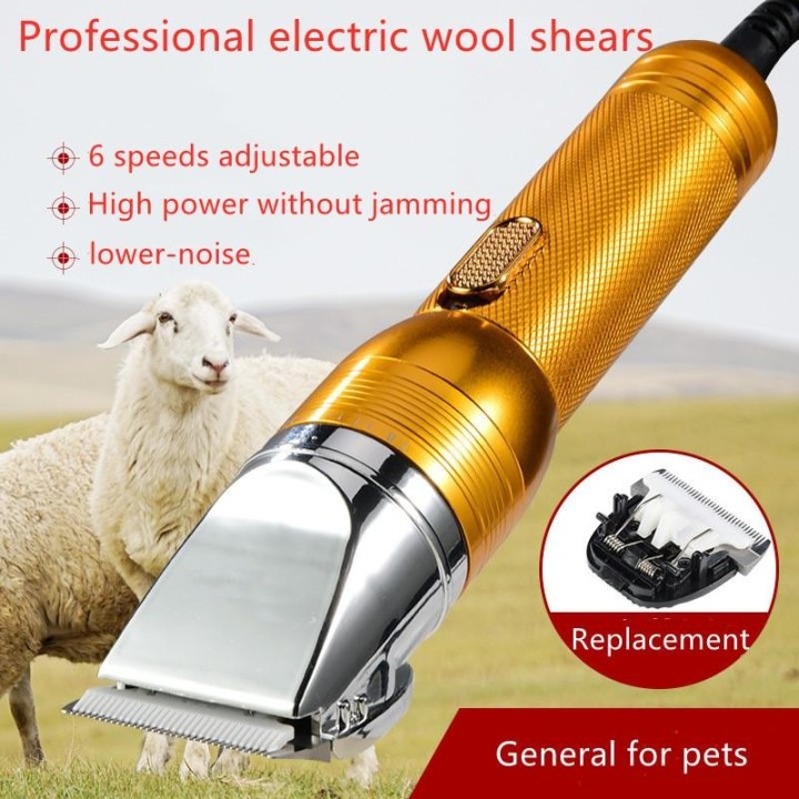 Professionelle elektrische Wollschere mit 6 einstellbaren Geschwindigkeiten gold