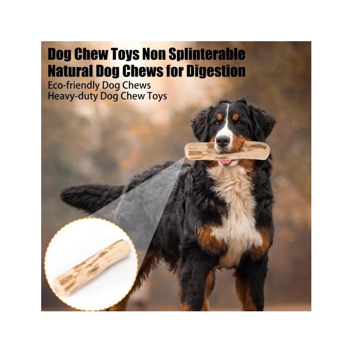 Holz-Hundekauspielzeug, Zahnreinigung, Hundespielzeug, natürlicher organischer Kaustab für Welpen für die Zahngesundheit S