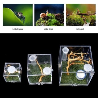 Spider Feeder with Humidifier Insect Box Jumping Spider Breeding Box Spider habitat Breeding Cage S