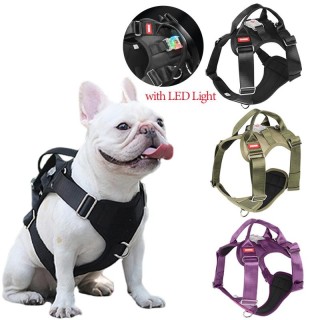 Neues Haustier-LED-Geschirr für mittelgroße und große Hunde, Brustgurte, verstellbare Welpenleine, Hundeweste, Chihuahua, Mop