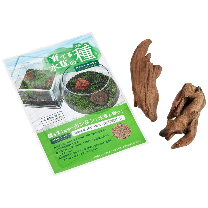 Nisso Growing Wasserpflanzensamen Glattes Haar Treibholz &