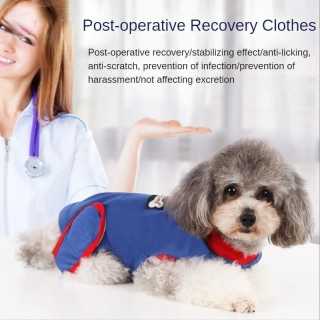 Hund nach der Operation kastrierte Haustierkleidung Anti-Lecken Anti-Kratz-Hundekleidung Weiche hochelastische Baumwolle Heim