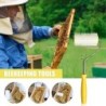 Bienenstock-Entdeckungsnadelwalze, leicht zu reinigen, langlebiges Imkerei-Werkzeug, effizientes Bienenstock-Honig-Extraktion