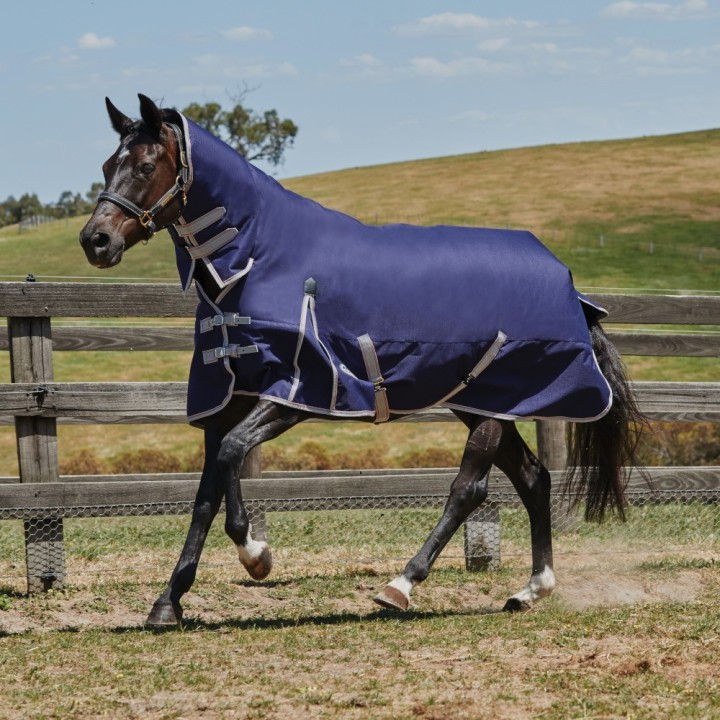 Weatherbeeta Comfitec Essential Combo Lite Plus 50g - navy/silver/red