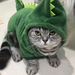 Halloween-Katzenkostüm, Dinosaurier-Katzen-Hoodies, kleine Hunde, warme Jacke, Katzen-Weihnachtskostüm, Haustierkleidung für