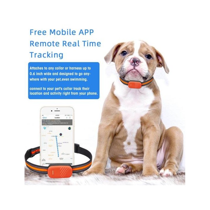 Lichtanzeige Genaue Positionierung Track Suche Wasserdichte Anti-verlorene Haustier Tracking Smart Kragen Gerät Haustier grün