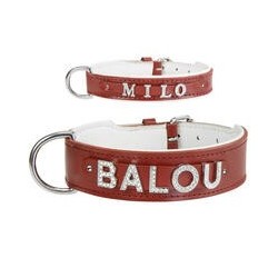 Schecker - MyName Leder-Halsband, rot [25 cm x 12 mm - Buchstabentyp: Kristall]