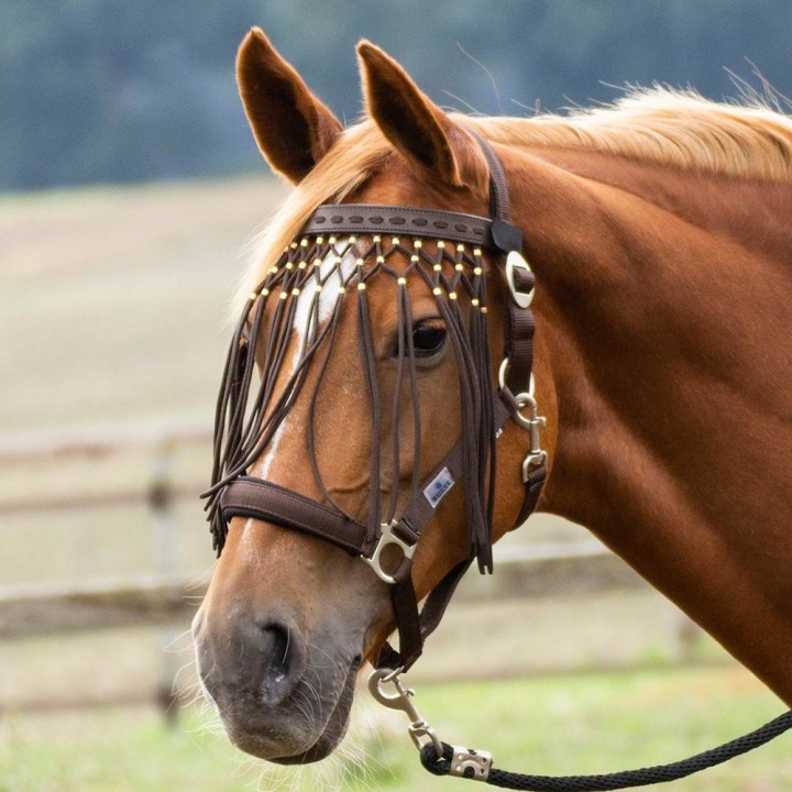 Busse Fliegenkordelband EXKLUSIV - braun