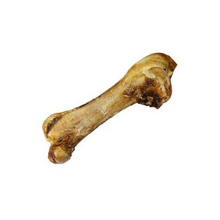 Riesen-Straußenknochen [1 Stück XXL (ca. 50cm)]