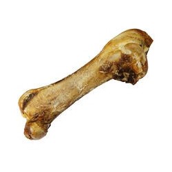 Riesen-Straußenknochen [1 Stück XXL (ca. 50cm)]