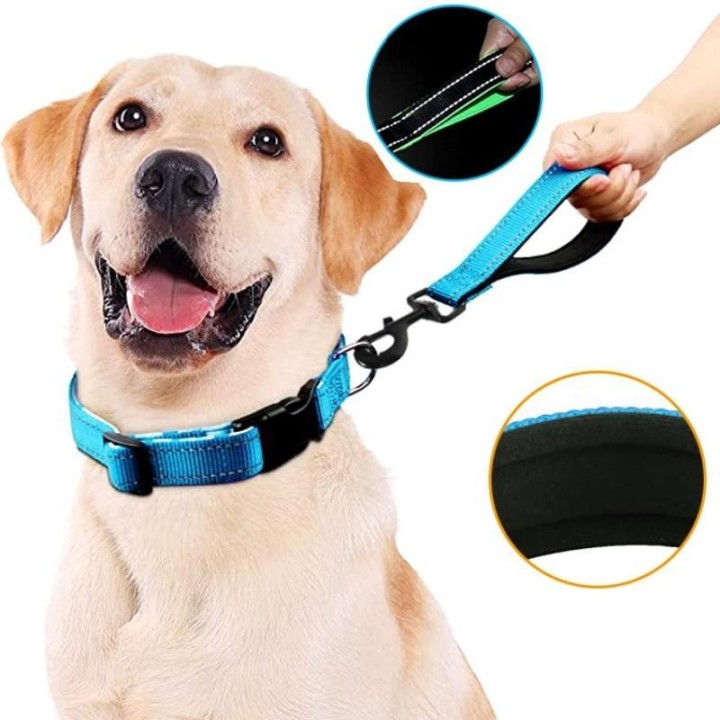 Hundeleine Kurze Hundeleine Reflektierende Leinen zum Gassigehen mit dem Hund Nylonseil Kurze Hundeleinen 30cm Bequemer Griff