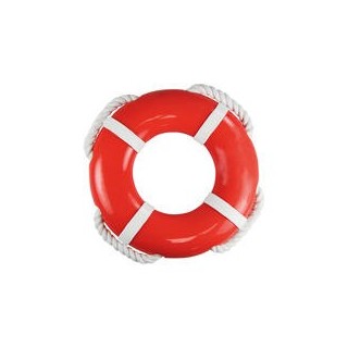 Nobby Hunde-Wasserspielzeug - Rettungsring mit Seil -