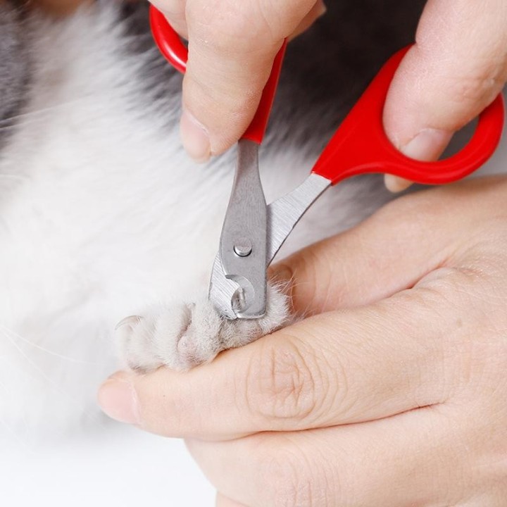 Professionelle Katzen-Nagelschere, Haustier-Hunde-Nagelknipser, Zehen-Klauen-Trimmer, Hundepflege-Zubehör, Produkte für klein