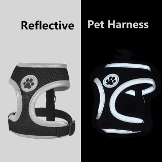 Haustier-Hundegeschirr, Netzstoff, atmungsaktiv, Sommer-Haustierwelpen, reflektierendes Hundewestengeschirr, weicher Brustgur