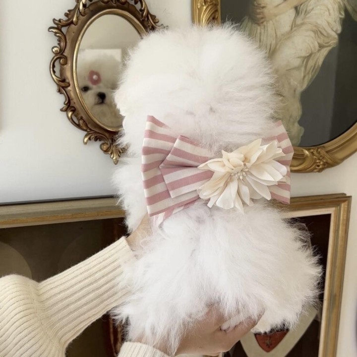 Gestreiftes, blumenförmiges, atmungsaktives Brust- und Rückenset mit Teddy, Malteser, Yorkshire-Hund, Abschleppseil, Spaziers