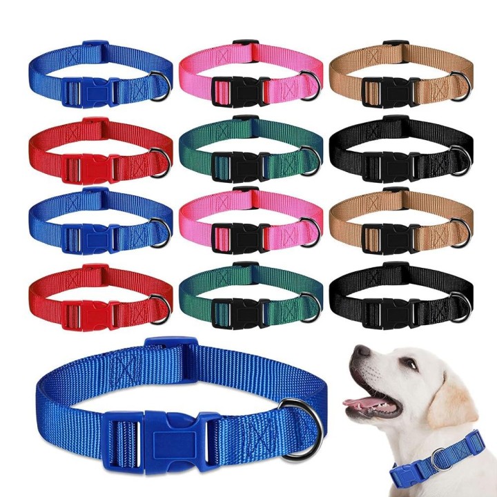 Verstellbares Hundehalsband aus Nylon, langlebiges Basic-Hundehalsband für kleine und große Hunde, Französische Bulldogge, Si