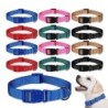 Verstellbares Hundehalsband aus Nylon, langlebiges Basic-Hundehalsband für kleine und große Hunde, Französische Bulldogge, Si