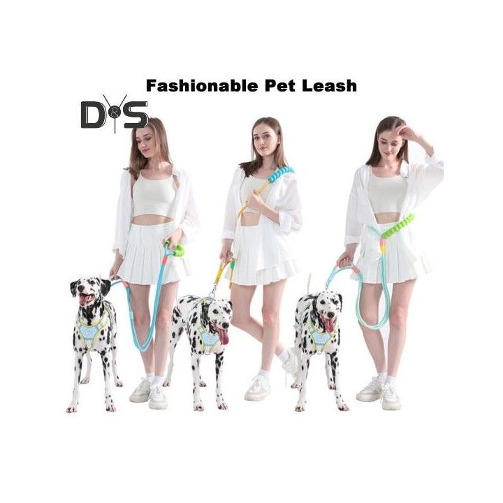 Hundeleine mit weich gepolstertem Griff, verstellbares Zugseil mit 360-Grad-Drehhaken, Hundeausflugleine blau