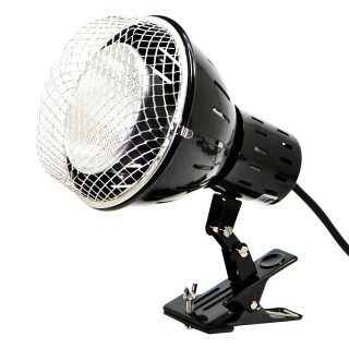 Zensui Solar Raptor HID-Lampe 50W