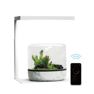ONF Aquarium Licht LED Licht mit Timer Aquarium Licht Pflanzenwachstum Licht Beleuchtung Geeignete Größen 20cm 25cm 30cm 36cm