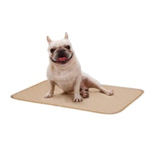 Pet Oxy Hotel Exklusive Pee Haustiertoilette Quick Pet Pee Nursing Medium Hunde und Pee Pad für 2er Set Matte, Unterlage, Lak