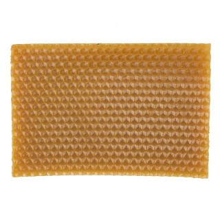 10Pcs Gelb Waben Foundation Bee Hive Wachs Rahmen Bienenzucht Ausrüstung Blatt