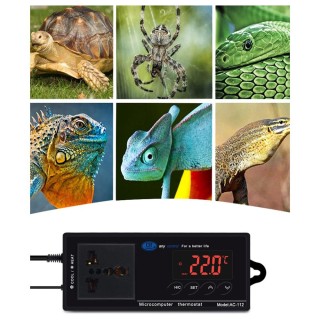 Digitaler Temperaturregler Thermostat Auslass Reptilienthermostat gesteuert mit Heizung & US Plug schwarz