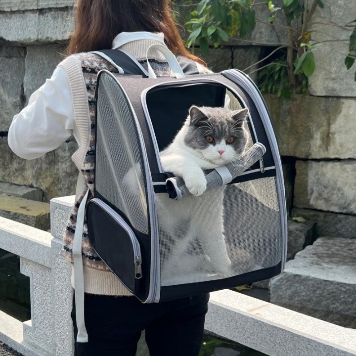 Tragbarer, atmungsaktiver Katzen-Rucksack mit doppelter Schulterpartie – faltbar, modisch, große Kapazität, Reisetasche für H