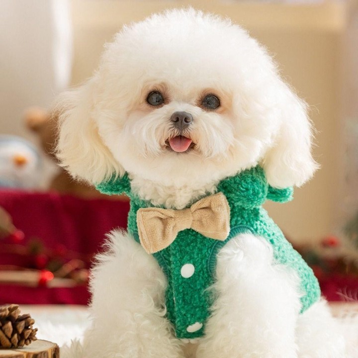 Cartoon Hund Harness Leine Elch Katze Zubehör Nette Haustier Weihnachten Kleidung Bichon Frise XS grün