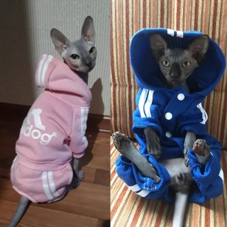 Niedlicher Katzenpullover mit Kapuze, warme Winter-Haustierkleidung für Katzen, Sphynx-Katten-Kleidung, Outfit, Ropa Para Gat